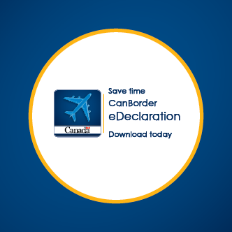 E-declaration EN