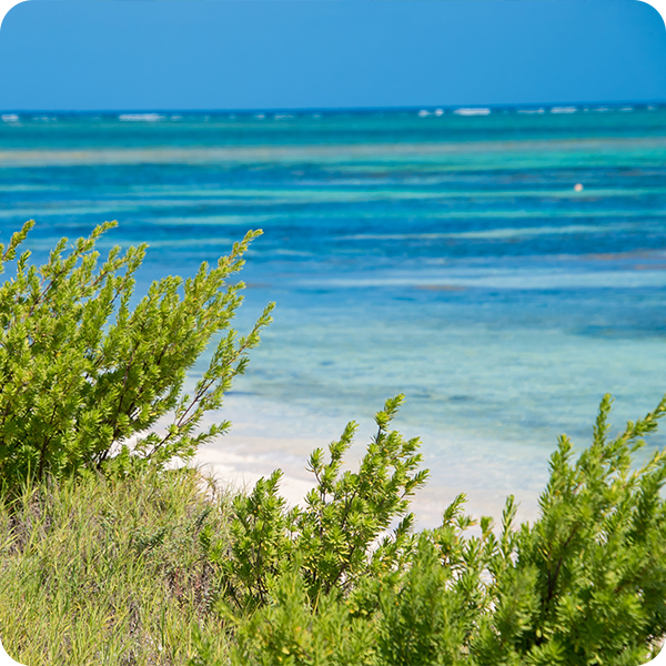 Cayo Bolivar