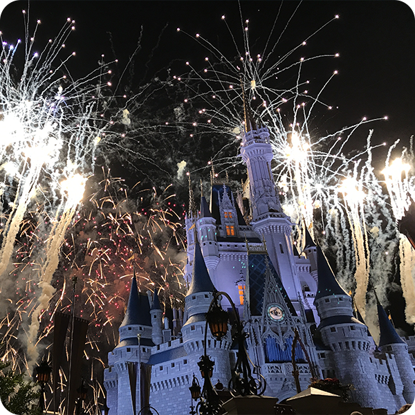 View of Walt Disney World Castle