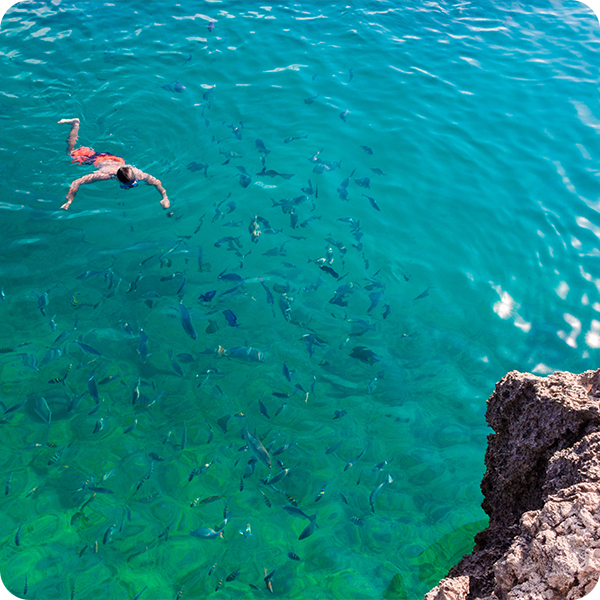 Homme qui fait de la plongée parmi plein de poissons