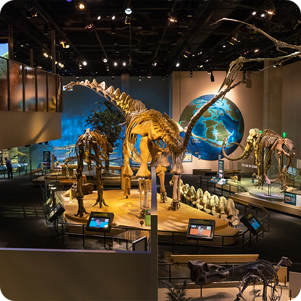 Le Musée Perot de la nature et des sciences