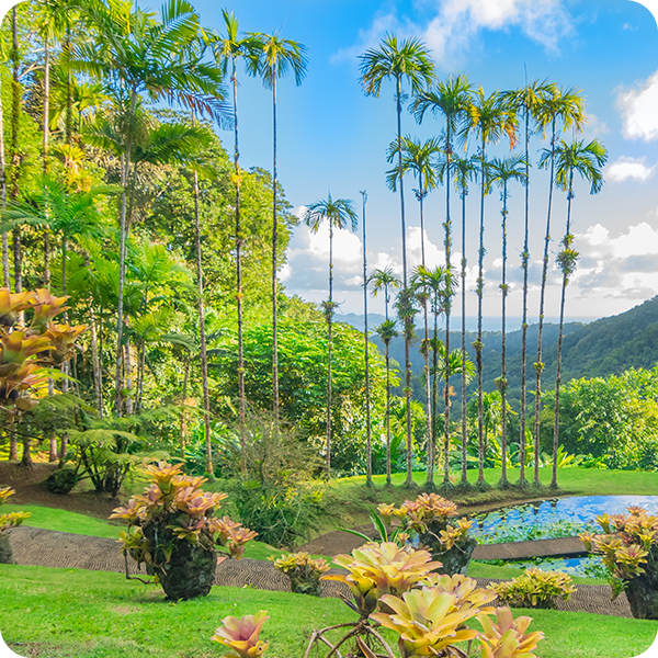 Les jardins de Balata