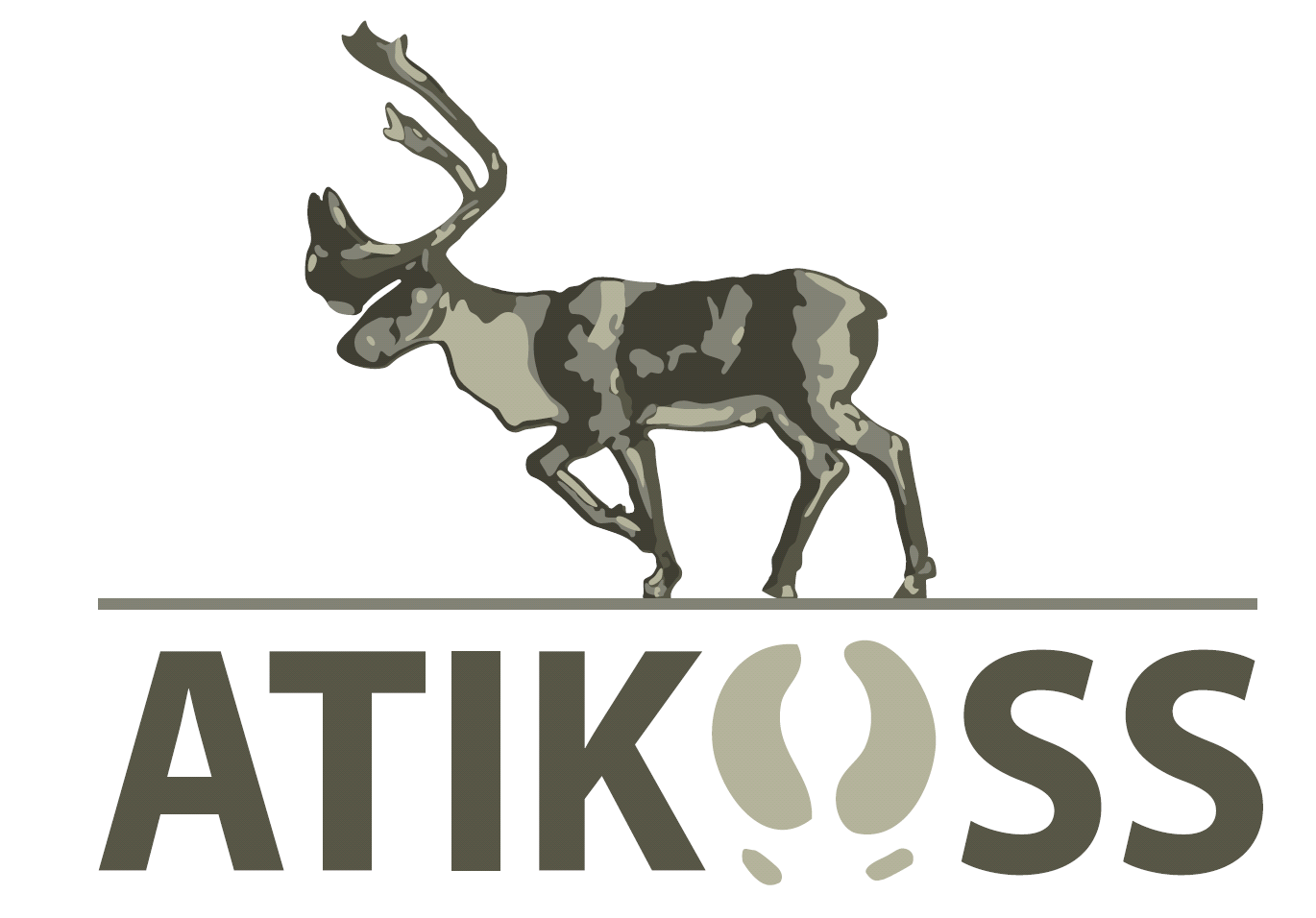 Logo Atikuss