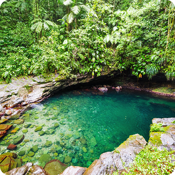 Bassin Paradise en Basse-Terre