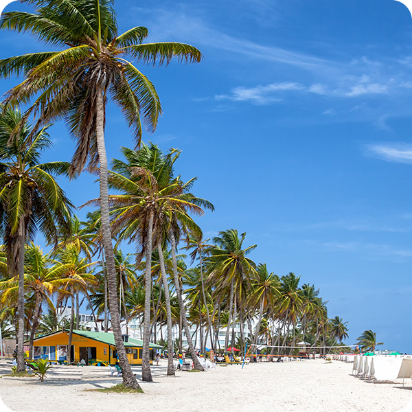 Playa Spratt Bight