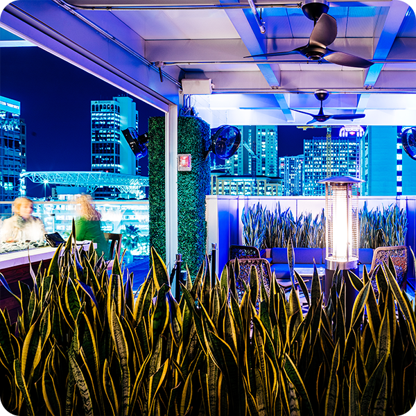 Terrasse sur le toit d'un bar à Fort Lauderdale