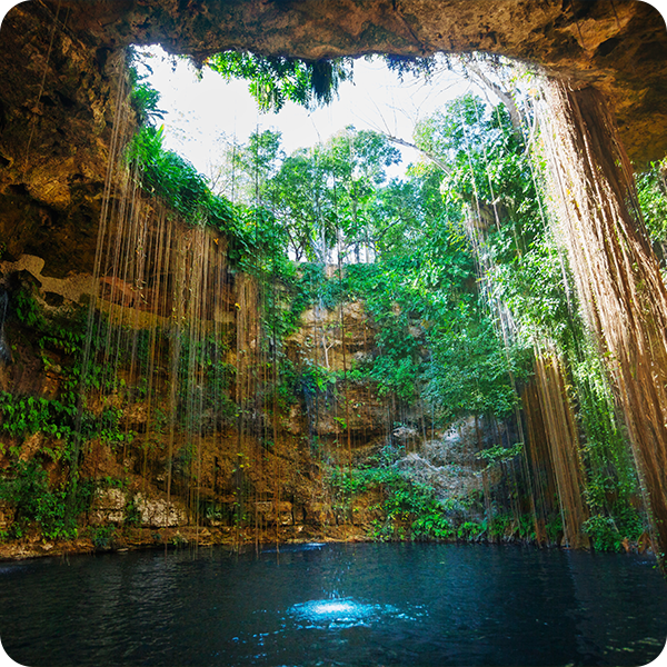 Inside of a cenote