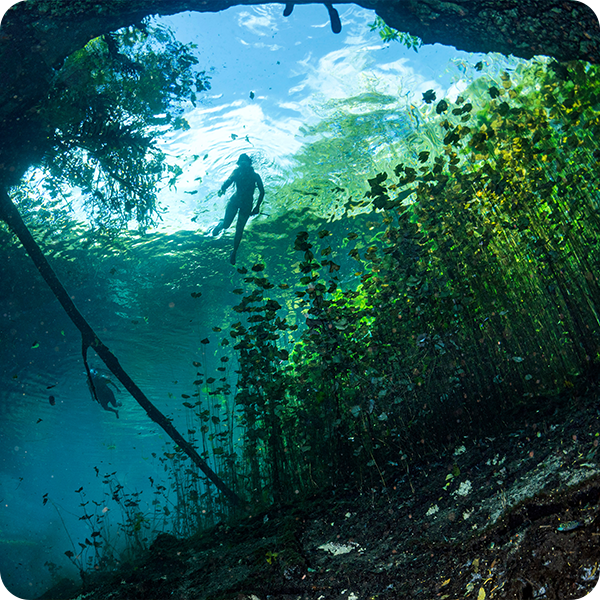 Personne faisant du snorkeling